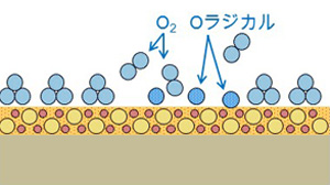 オゾンクリーニングのメカニズム02